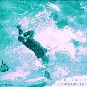 Thumpermonkey - Electricity i gruppen CD / Pop-Rock hos Bengans Skivbutik AB (2813489)