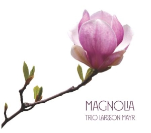 Trio Larsson Mayr - Magnolia i gruppen CD / Elektroniskt,World Music hos Bengans Skivbutik AB (2813516)