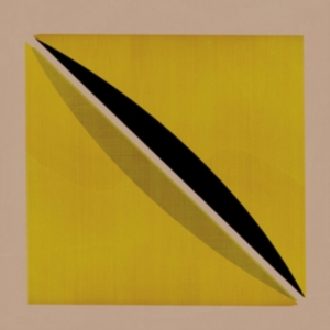 Snow Palms - Origin And Echo i gruppen VINYL / Pop-Rock hos Bengans Skivbutik AB (2822232)