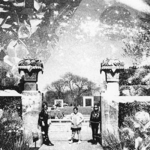 Rakta - Oculto Pelos Seres i gruppen VINYL / Rock hos Bengans Skivbutik AB (2851547)