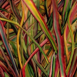 Gengahr - Where Wilderness Grows i gruppen VI TIPSAR / Klassiska lablar / PIAS Recordings hos Bengans Skivbutik AB (2851568)