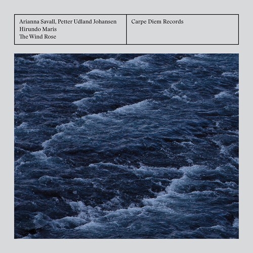 Various - The Wind Rose i gruppen Externt_Lager / Naxoslager hos Bengans Skivbutik AB (2865275)
