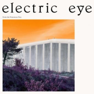 Electric Eye - From The Poisonous Tree i gruppen CD / Pop-Rock hos Bengans Skivbutik AB (2873614)