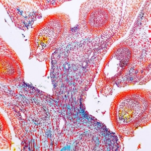 From - Y.O.U. i gruppen CD / Pop hos Bengans Skivbutik AB (2881831)