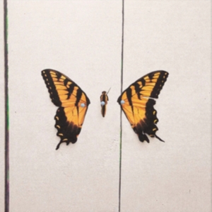 Paramore - Brand New Eyes i gruppen VINYL / Pop-Rock,Punk hos Bengans Skivbutik AB (2887058)