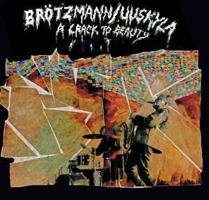 Brötzmann Peter/Peeter Uuskyla - A Crack To Beauty i gruppen CD / Jazz/Blues hos Bengans Skivbutik AB (2888544)