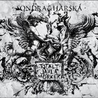 Totalt Jävla Mörker - Söndra & Härska i gruppen VINYL / Pop-Rock,Punk hos Bengans Skivbutik AB (2925186)