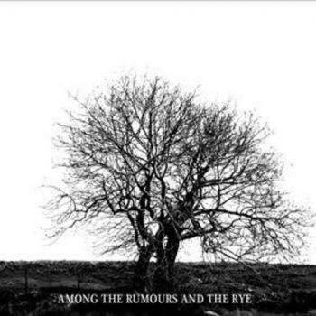 Mr. David Viner - Among The Rumours And The R i gruppen CD / Toppsäljare hos Bengans Skivbutik AB (2998361)