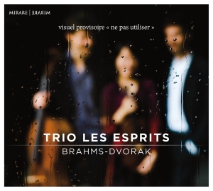 Brahms/Dvorak - Trio Pour Piano E Cordes No.1 Opus 8 i gruppen CD / Klassiskt,Övrigt hos Bengans Skivbutik AB (2999227)