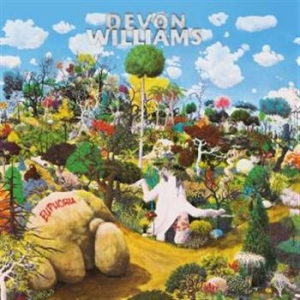 Williams Devon - Euphoria i gruppen VINYL / Pop-Rock hos Bengans Skivbutik AB (3013803)