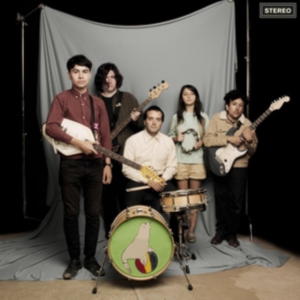 Sea Lions - Everything You Always Wanted To Kno i gruppen CD / Pop-Rock hos Bengans Skivbutik AB (3013819)