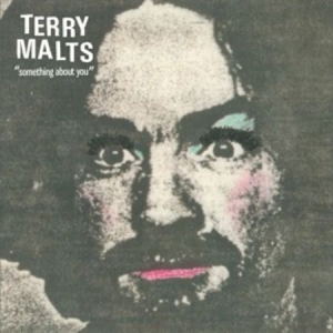 Terry Malts - Something About You i gruppen VINYL / Rock hos Bengans Skivbutik AB (3013823)
