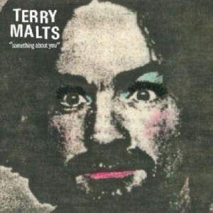 Terry Malts - Something About You i gruppen VINYL / Pop-Rock hos Bengans Skivbutik AB (3013823)