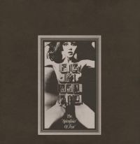 Felt - Splendour Of Fear i gruppen VINYL / Rock hos Bengans Skivbutik AB (3013970)
