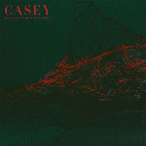 Casey - Where I Go When I Am Sleeping i gruppen CD / Rock hos Bengans Skivbutik AB (3013992)
