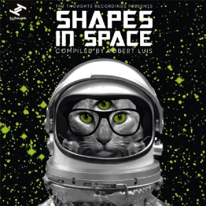 Blandade Artister - Shapes In Space i gruppen VINYL / Dans/Techno hos Bengans Skivbutik AB (3015810)