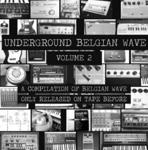 Blandade Artister - Underground Belgian Wave Volume 2 i gruppen VINYL / Rock hos Bengans Skivbutik AB (3015845)
