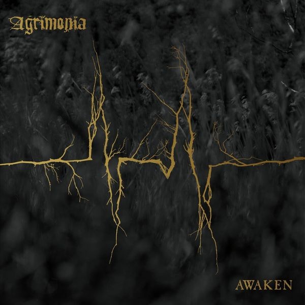 Agrimonia - Awaken i gruppen CD / Hårdrock/ Heavy metal hos Bengans Skivbutik AB (3029832)