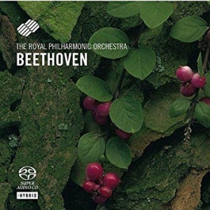 Royal Philharmonic Orchestra/Harbig - Beethoven: Sinfonie 2 & 8 i gruppen MUSIK / SACD / Pop hos Bengans Skivbutik AB (3042503)