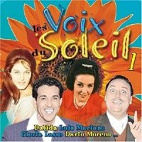 Blandade Artister - Le Soleil Dans La Voix i gruppen CD / Pop-Rock hos Bengans Skivbutik AB (3042783)