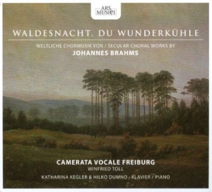 Camerata Vocale Freiburg/Toll - Brahms: Waldesnacht i gruppen CD / Pop hos Bengans Skivbutik AB (3042971)