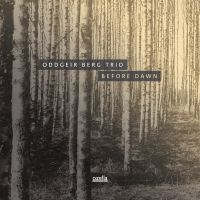 Berg Oddgeir (Trio) - Before Dawn i gruppen CD / Jazz hos Bengans Skivbutik AB (3045759)