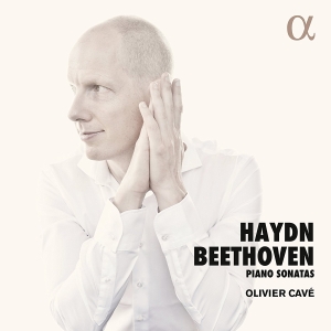 Beethoven Ludwig Van Haydn Josep - Piano Sonatas i gruppen Externt_Lager / Naxoslager hos Bengans Skivbutik AB (3049456)