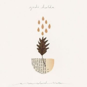 Yndi Halda - A Sun Coloured Shaker i gruppen VINYL / Rock hos Bengans Skivbutik AB (3049867)
