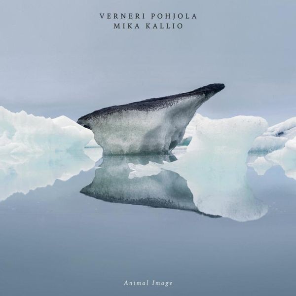 Verneri Pohjola - Animal Image i gruppen CD / Jazz/Blues hos Bengans Skivbutik AB (3049878)