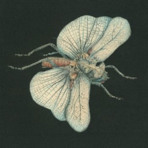 Susanna - Go Dig My Grave i gruppen CD / Pop-Rock hos Bengans Skivbutik AB (3049891)