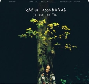 Okkenhaug Karin - Se Det Du Ser i gruppen CD / Pop-Rock hos Bengans Skivbutik AB (3049895)