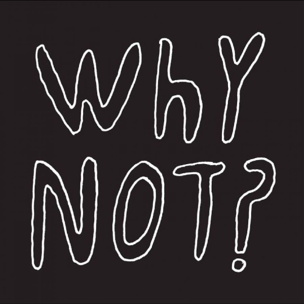 Half Japanese - Why Not? i gruppen CD / Rock hos Bengans Skivbutik AB (3083578)
