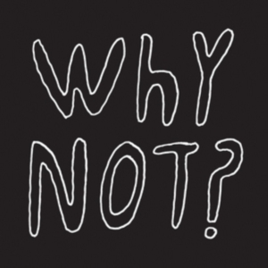 Half Japanese - Why Not? i gruppen VINYL / Pop-Rock hos Bengans Skivbutik AB (3083637)