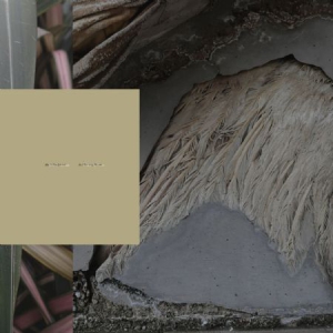 Amara Vanessa - Manos i gruppen VINYL / Pop-Rock hos Bengans Skivbutik AB (3085277)