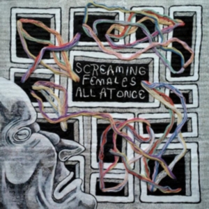 Screaming Females - All At Once i gruppen CD / Rock hos Bengans Skivbutik AB (3110090)