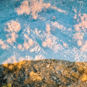 Moon Gangs - Earth Loop i gruppen CD / Pop-Rock hos Bengans Skivbutik AB (3110238)