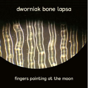Dworniak Bone Lapsa - Fingers Pointing At The Moon i gruppen CD / Rock hos Bengans Skivbutik AB (3110240)