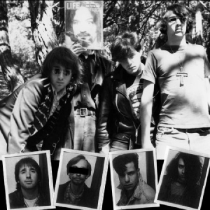 Dwarves - Lick It (1983-86) i gruppen VINYL / Pop-Rock hos Bengans Skivbutik AB (3115800)