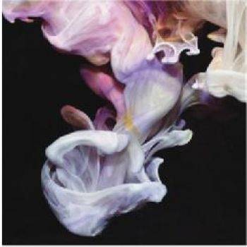 Simian Mobile Disco - Murmurations i gruppen CD / Toppsäljare hos Bengans Skivbutik AB (3115867)