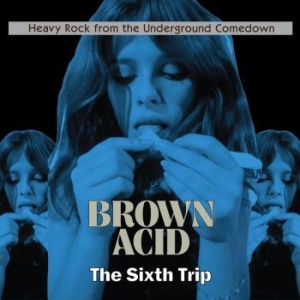 Various Artists - Brown Acid - The Sixth Trip i gruppen CD / Kommande / Rock hos Bengans Skivbutik AB (3179933)