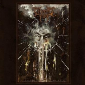 Cryptic Fog - Staring Through The Veil i gruppen CD / Hårdrock/ Heavy metal hos Bengans Skivbutik AB (3179994)
