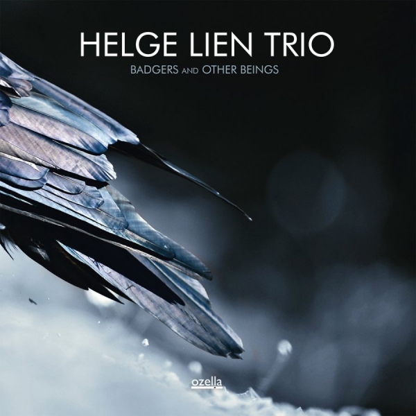Lien Helge (Trio) - Badgers And Other Beings i gruppen CD / Toppsäljare hos Bengans Skivbutik AB (3186714)