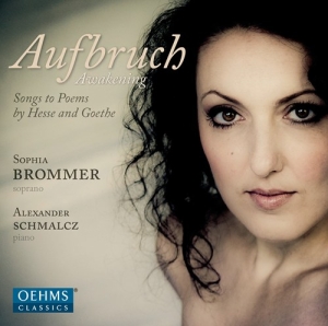 Brommer - Aufbruch i gruppen Externt_Lager / Naxoslager hos Bengans Skivbutik AB (3187151)