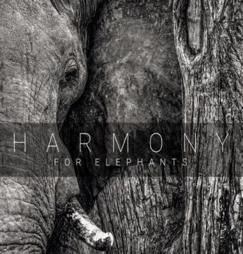 Various Artists - Harmony For Elephants ~ A Charity A i gruppen CD / Toppsäljare hos Bengans Skivbutik AB (3205254)