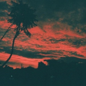 Zavala Malena - Aliso i gruppen CD / Pop-Rock hos Bengans Skivbutik AB (3205657)