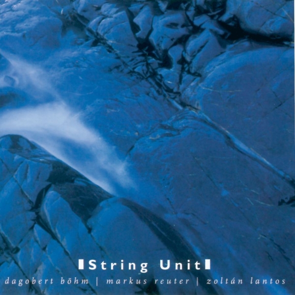 Böhm Dagobert Markus Reuter Zolt - String Unit i gruppen CD / Toppsäljare hos Bengans Skivbutik AB (3207936)