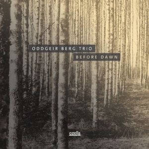 Berg Oddgeir (Trio) - Before Dawn i gruppen VINYL / Jazz hos Bengans Skivbutik AB (3208017)