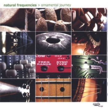 Natural Frequencies (Aka Andreas Le - Ornamental Journey i gruppen CD / Toppsäljare hos Bengans Skivbutik AB (3208029)