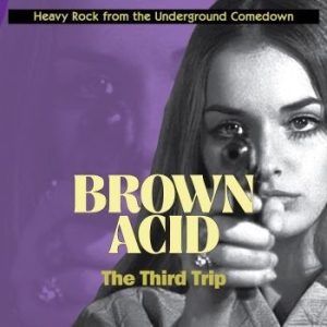Various Artists - Brown Acid - The Third Trip i gruppen CD / Hårdrock hos Bengans Skivbutik AB (3208350)