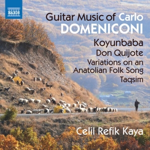 Domeniconi Carlo - Guitar Music i gruppen CD / Klassiskt hos Bengans Skivbutik AB (3208490)